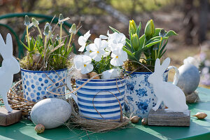 Easter arrangement with grape hyacinths, horned violets, and tulips in blue and white pots