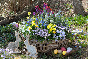 Bunter Frühlingskorb mit Osterdeko im Garten, Osterhasen und Ostereier