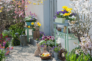 Easter terrace with tulips, daffodils, blooming perennials and Easter decorations