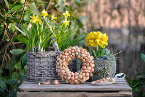 Wreath of onions, decorated with daffodils and primroses on an old wine box