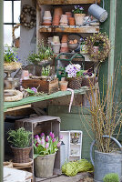 Potting table decorated with spring flowers, wooden crates and terracotta pots