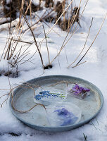 Homemade pendants made of ice with spring flowers on a metal plate