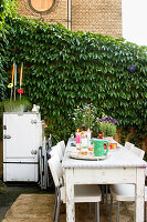 Set table in the backyard garden with wild wine against the wall