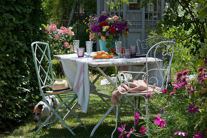 Colourful summer bouquet of roses, flame flowers, oregano, yarrow and chamomile as table decoration, dog Zula