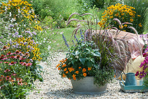 Zinc pan with summer flowers on gravel terrace on flowering herbaceous border
