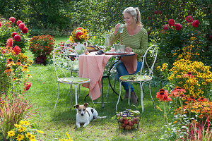 A woman is sitting at the table in the garden between beds with dahlias, echinacea, Helenium, and coneflowers, basket with apples and grapes