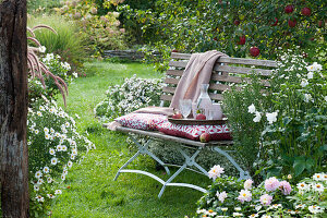 Sitzplatz auf Bank am Beet mit Aster, Herbstanemone, Dahlien und Zinnien