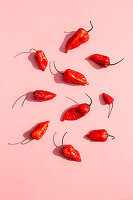 Fresh red chili peppers on a pink background