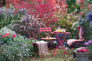 Sitzplatz im Herbstgarten am Beet mit Aster, Dahlie, Rispenhortensie, Herbstanemone, Spindelstrauch und Federborstengras