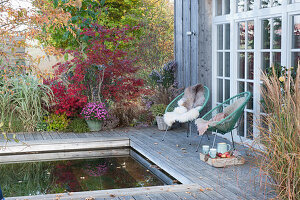 Autumn at the swimming pool, Acapulco armchair with fur and blanket, chrysanthemums, grass, and Japanese maple