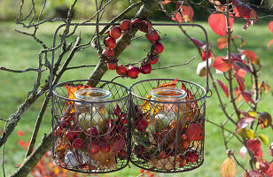 Herbst-Windlichter im Drahtkorb aufgehängt, Hagebutten, Zieräpfel und Herbstlaub als Deko