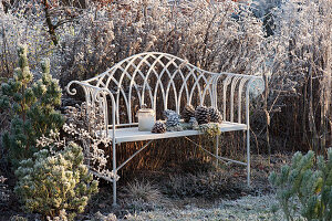 White bench at the bed with frozen perennials and pines, lantern and pine cones on the seat