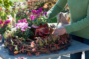 Woman decorates cyclamen in a wreath of twigs and tendrils of wild wine