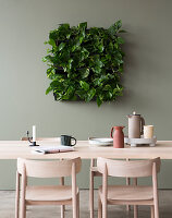 Devil's ivy in square green wall planter above dining table