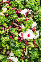 Winter salad with green kale, pomegranate seeds, peas, mozzarella and pumpkin seeds