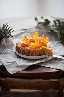 Cake with candied orange slices