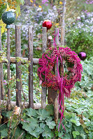 Purple wreath of rose hips, amaranth and ribbons