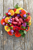 Kartoffeln im Kranz mit Dahlien, Zinnien, Astern und Amaranthus