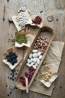 Different types of beans on a rustic wooden table