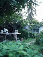 Climbing roses in small, natural-style urban garden