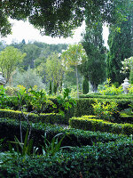 Beds edges with hedges in Mediterranean garden