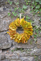 Wreath of beech leaves on a stone wall
