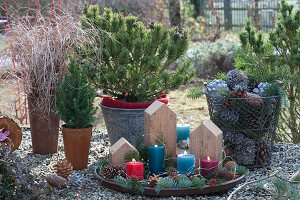 Advent decoration with candles, pieces of wood, cones and fir tips on a tray, basket with cones