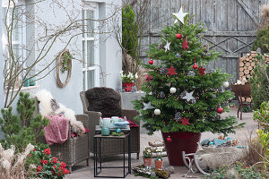 Weihnachtsterrasse mit geschmückter Nordmanntanne als Weihnachtsbaum, Korbsessel mit Fell als Sitzplatz