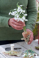 Snowdrop bouquet in birch bark: woman puts snowdrop bouquet in glass tubes in a bag made of bark
