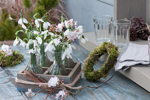 Small bouquets with snowdrops and ornamental cherries in wooden boxes, wreath of moss