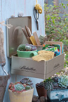 Tin can misused as a tidying tool: seed bags, labels, burlap tape and cup with houseleek