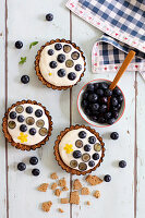 Käsekuchentörtchen mit Blaubeeren