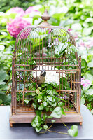 Bird ornaments in bird cage decorated with ivy