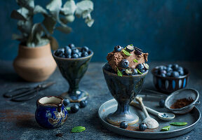 Chocolate ice cream with blueberries