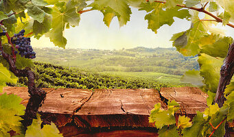 View over wooden table in olive Autumn vineyard