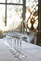 A row of white wine glasses
