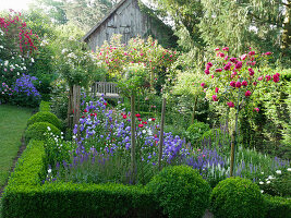 Blühendes Beet mit Rosenstämmchen und Buchs-Hecke