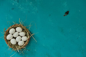 Eier im Körbchen und Feder auf blauem Untergrund