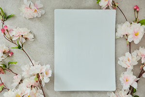 Cherry blossom and white porcelain plate