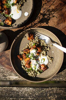 Dill rice with harissa mushrooms