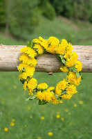 Dandelion wreath