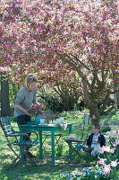 Sitzgruppe unter Zierapfelbaum 'Paul Hauber', Frau deckt den Tisch, Junge sitzt und liest, Hund Zula