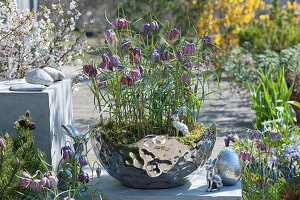 Checkerboard flowers in a silver bowl, silver Easter bunnies and Easter eggs