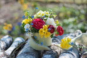 Small bouquet of primroses, ranunculus, forget-me-nots and gold currants with a felt cover