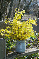 Bouquet made from gold bells branches on bench in the garden