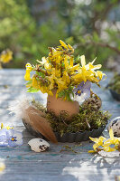 Kleiner Osterstrauß aus Zweigen von Goldglöckchen und Hornveilchen-Blüte in Ei als Vase auf Moos in Backförmchen