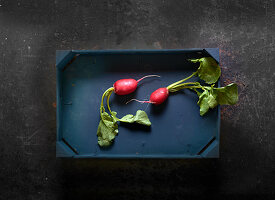 Two radishes in a wooden crate