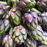 Purple Italian artichokes