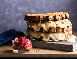 Cheese sandwich with red onion salad