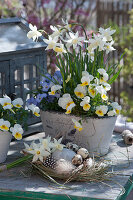 Pot with daffodil 'Toto' and horned violets, Easter eggs in an Easter basket made of grass, small daffodils bouquet